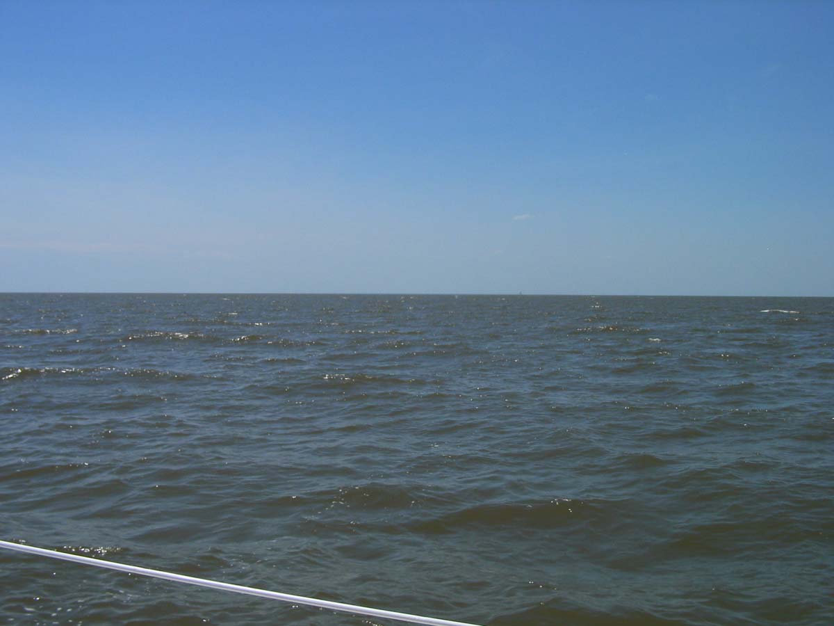 Albemarle Sound